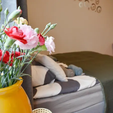 Near Old Town Apartment Gdansk