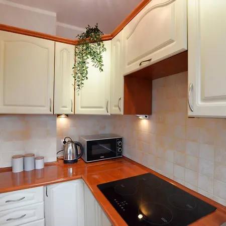 Near Old Town Apartment Gdansk