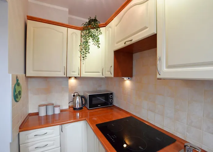 Near Old Town Διαμέρισμα Γκντανσκ